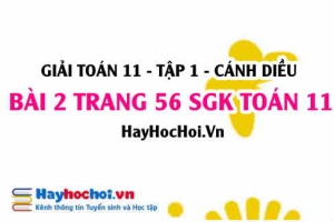 Giải bài 2 trang 56 Toán 11 tập 1 SGK Cánh Diều
